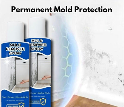 Mold Remover Spray 60ml
