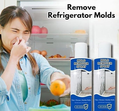 Mold Remover Spray 60ml